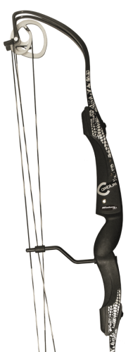 RCambiumNoir