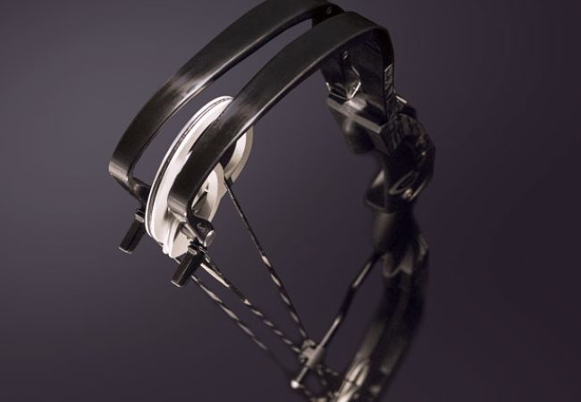 arc-Cambium1