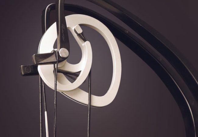 arc-Cambium2